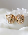 Royal Bold